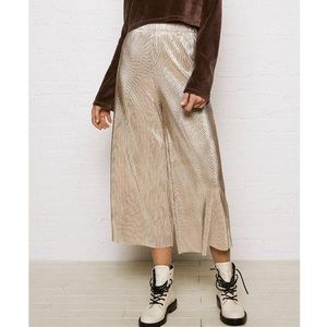 Shiny Pleated Culotte Pants from American Eagle
